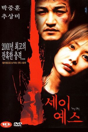 Say Yes's poster