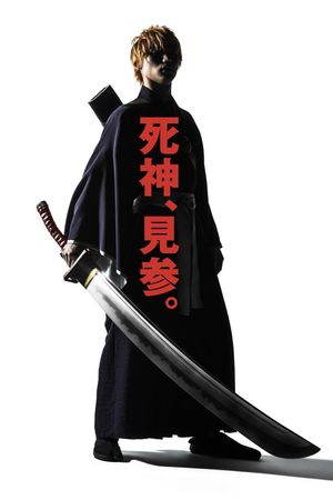 Bleach's poster