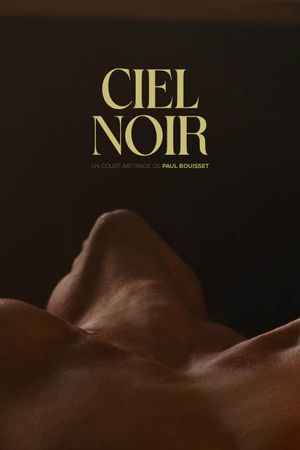 Ciel noir's poster