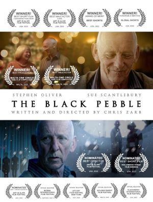 The Black Pebble's poster