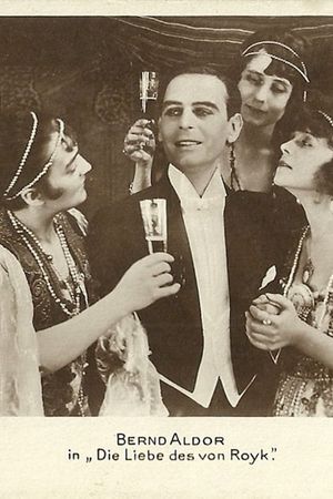 Die Liebe des Van Royk's poster