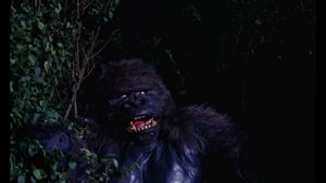 Konga's poster