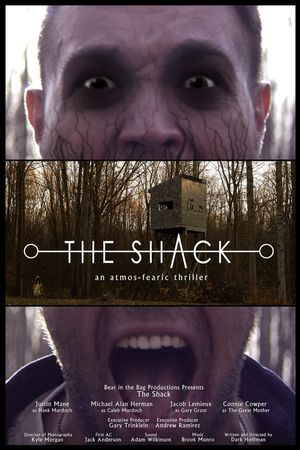 The Shack's poster