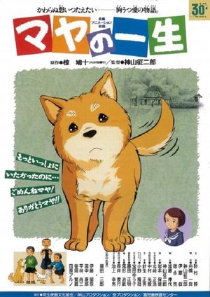 Maya no isshou's poster