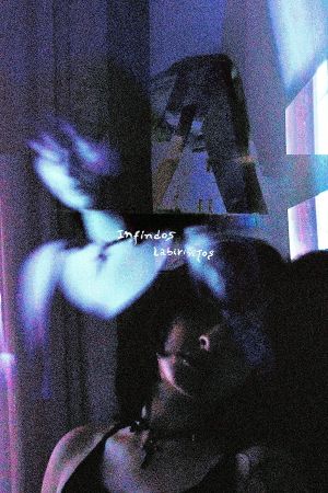 Endless labyrinths's poster