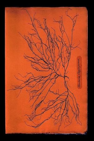 Ghost Protists's poster