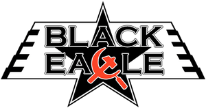 Black Eagle's poster