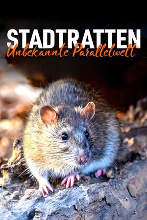 Stadtratten - Unbekannte Parallelwelt's poster