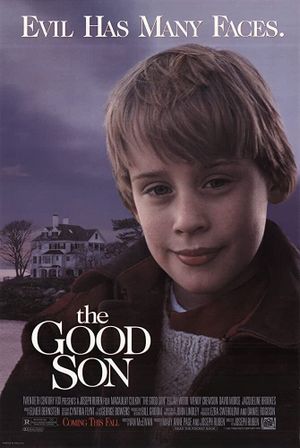 The Good Son's poster