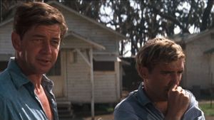 Cool Hand Luke's poster