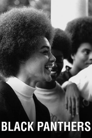 Black Panthers's poster