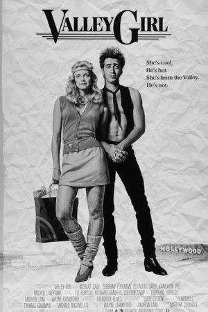 Valley Girl's poster