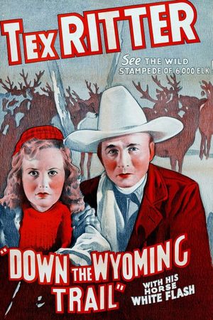 Down the Wyoming Trail's poster