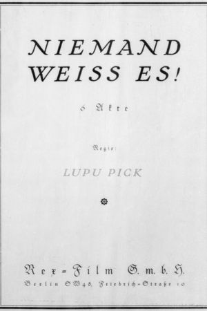 Niemand weiß es's poster