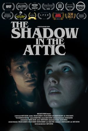 The Shadow in the Attic's poster