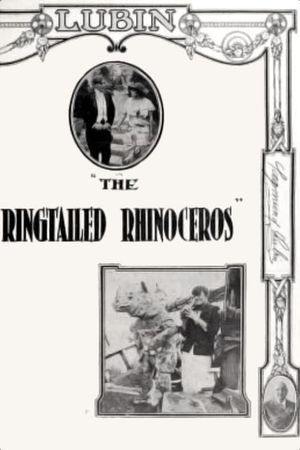 The Ringtailed Rhinoceros's poster