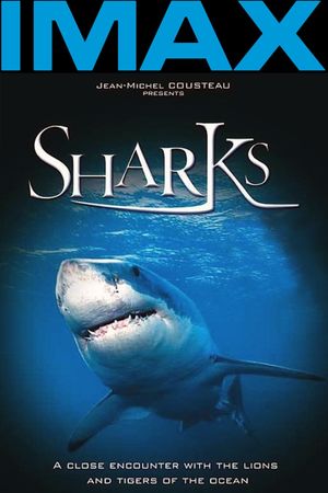 Sharks 3D's poster