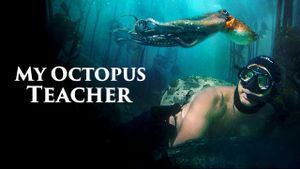 My Octopus Teacher's poster