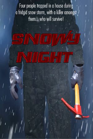 Snowy Night's poster