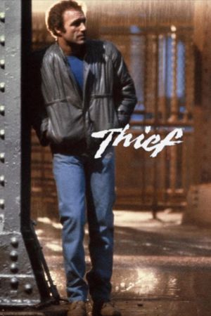 Thief's poster