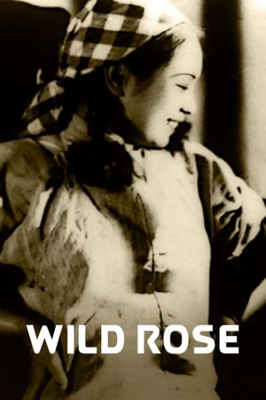 Wild Rose's poster