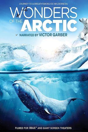 Wonders of the Arctic's poster
