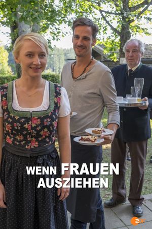 Wenn Frauen ausziehen's poster