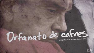 Orfanato de cafres's poster