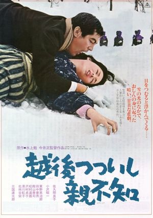 Echigo Tsutsuishi Oyashirazu's poster image