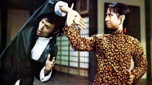 Lady Kung Fu's poster