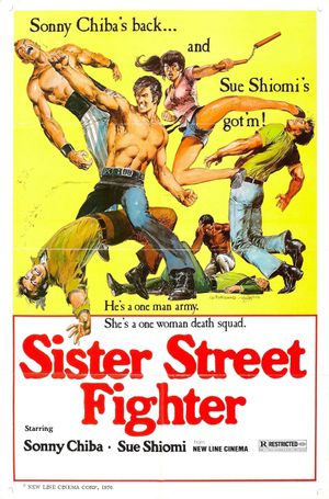 Sister Street Fighter's poster