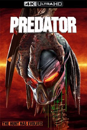 The Predator's poster
