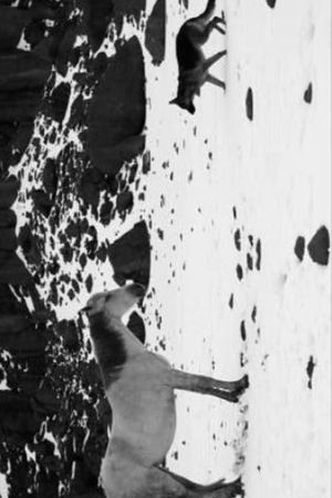 Little Block of Cement with Dishevelled Hair Containing the Sea's poster