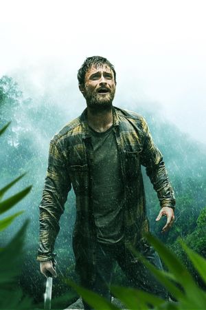 Jungle's poster