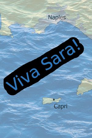 Viva Sara!'s poster