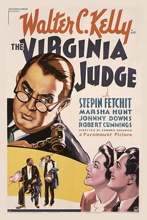 The Virginia Judge's poster