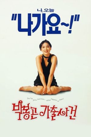 The Adventures of Mrs Park's poster