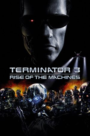 Terminator 3: Rise of the Machines's poster image