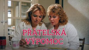 Přátelská výpomoc's poster