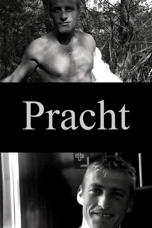 Pracht's poster