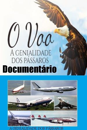 Documentário O voo's poster