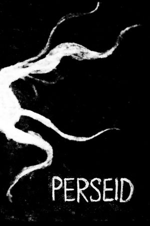 Perseid's poster