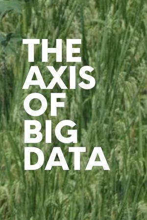 The Axis of Big Data's poster