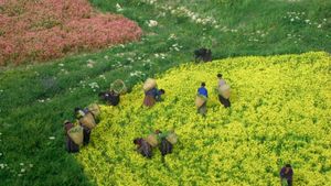 Nature : pour une réconciliation's poster