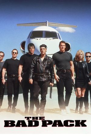 The Bad Pack's poster