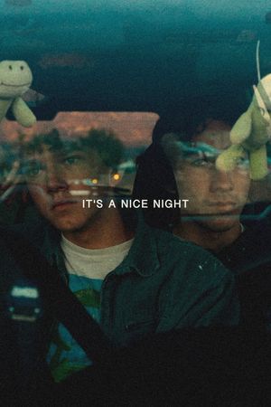 It's a Nice Night's poster