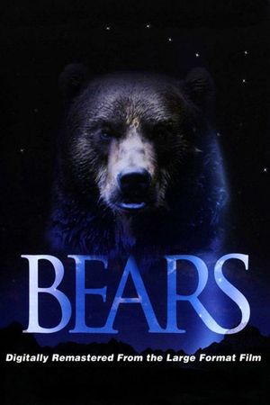 Bears's poster