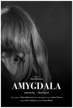 Amygdala's poster