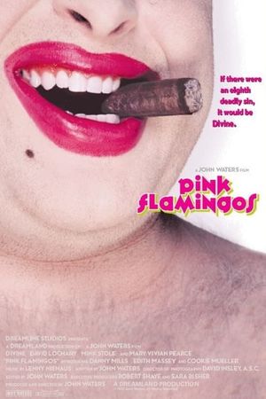 Pink Flamingos's poster