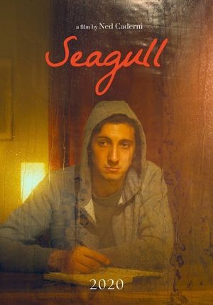 Seagull's poster